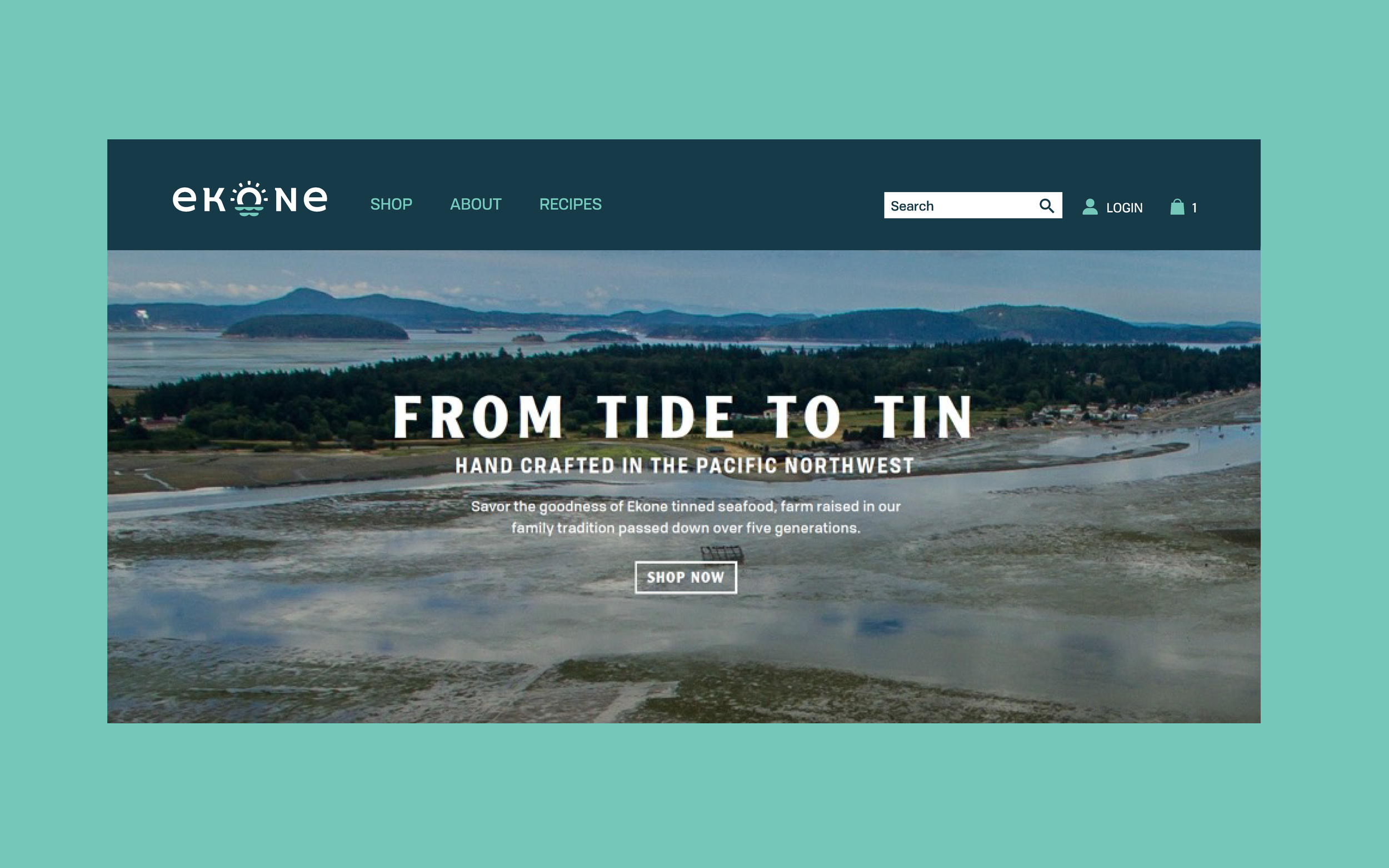 NB_WEB_CS_EKONE.1df_CS CONTENT F.WIDTH copy 2.png