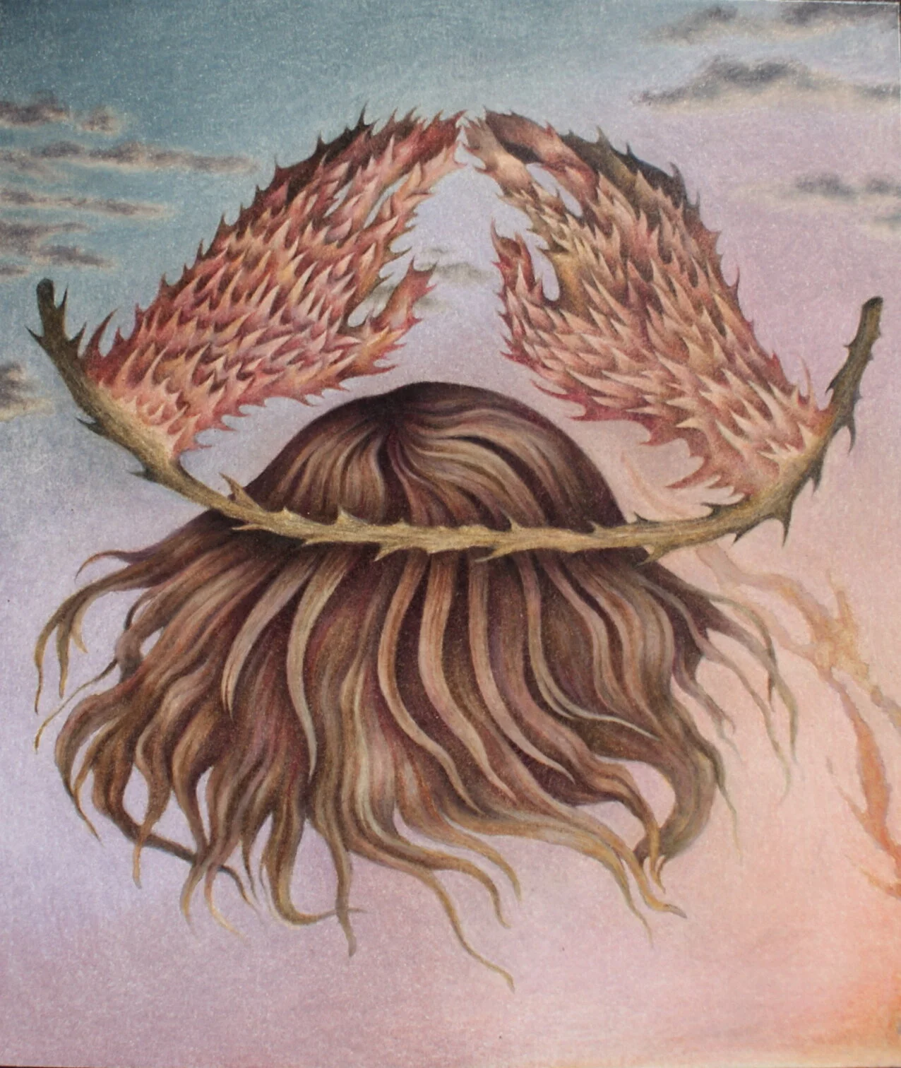 Crown of Thorns