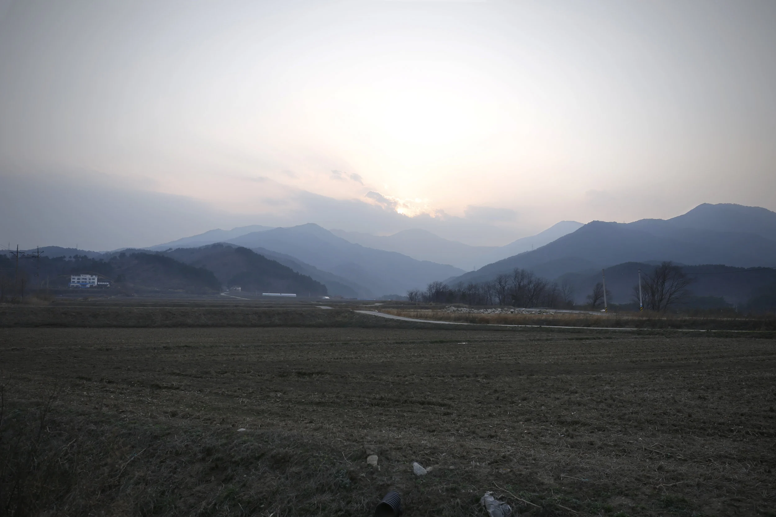 _46A0095.jpg