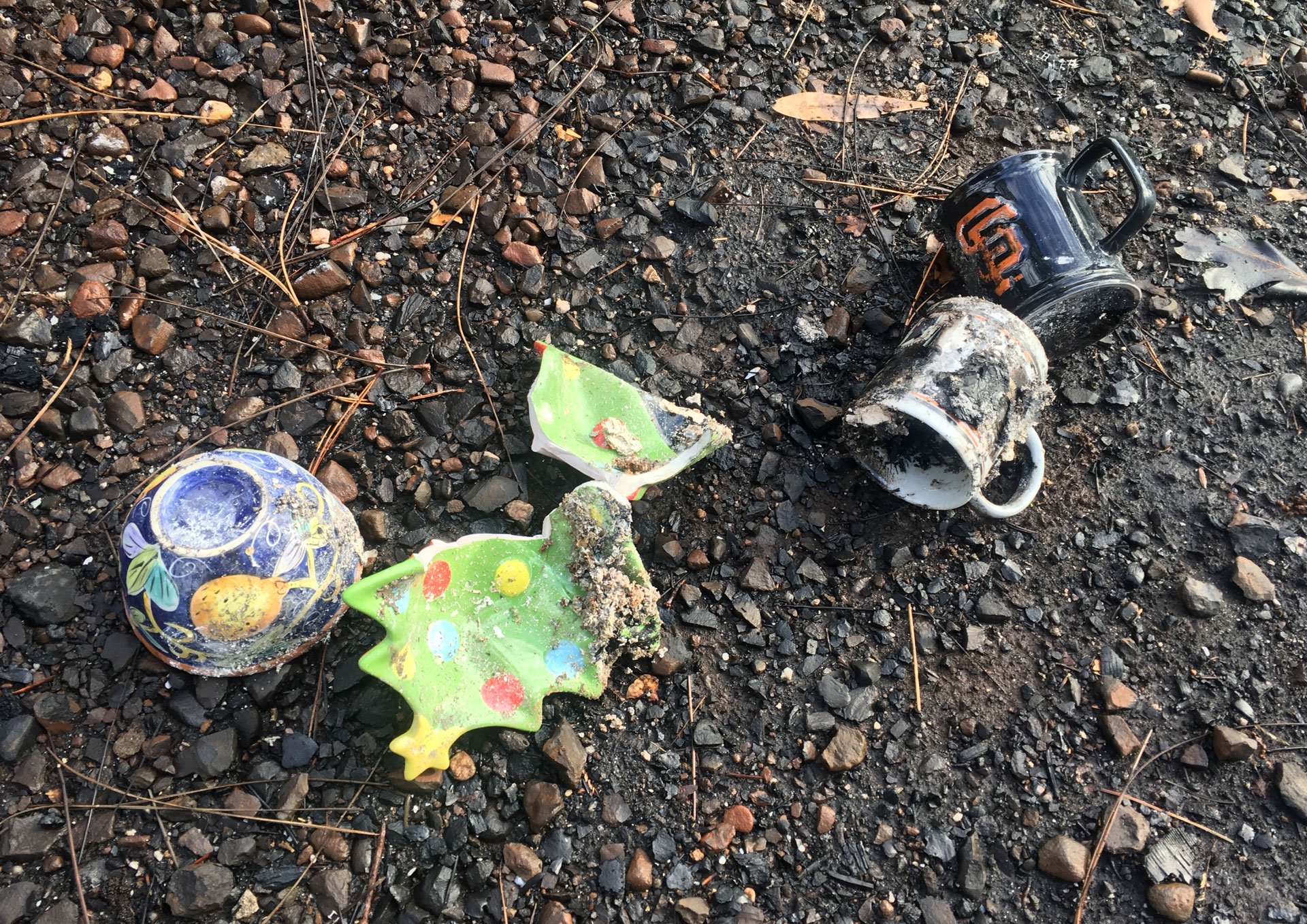 Separated for Weeks by Camp Fire, Couple Return to Where Their Home Used to Be