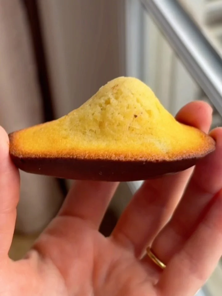 MADELEINES
I wasn&rsquo;t gonna post about these, but lots of you liked the story! Here&rsquo;s more. Sorry, the images are shit because I didn&rsquo;t think they&rsquo;d be public 😆

The madeleine&rsquo;s hump comes from the oven HEAT hitting the C