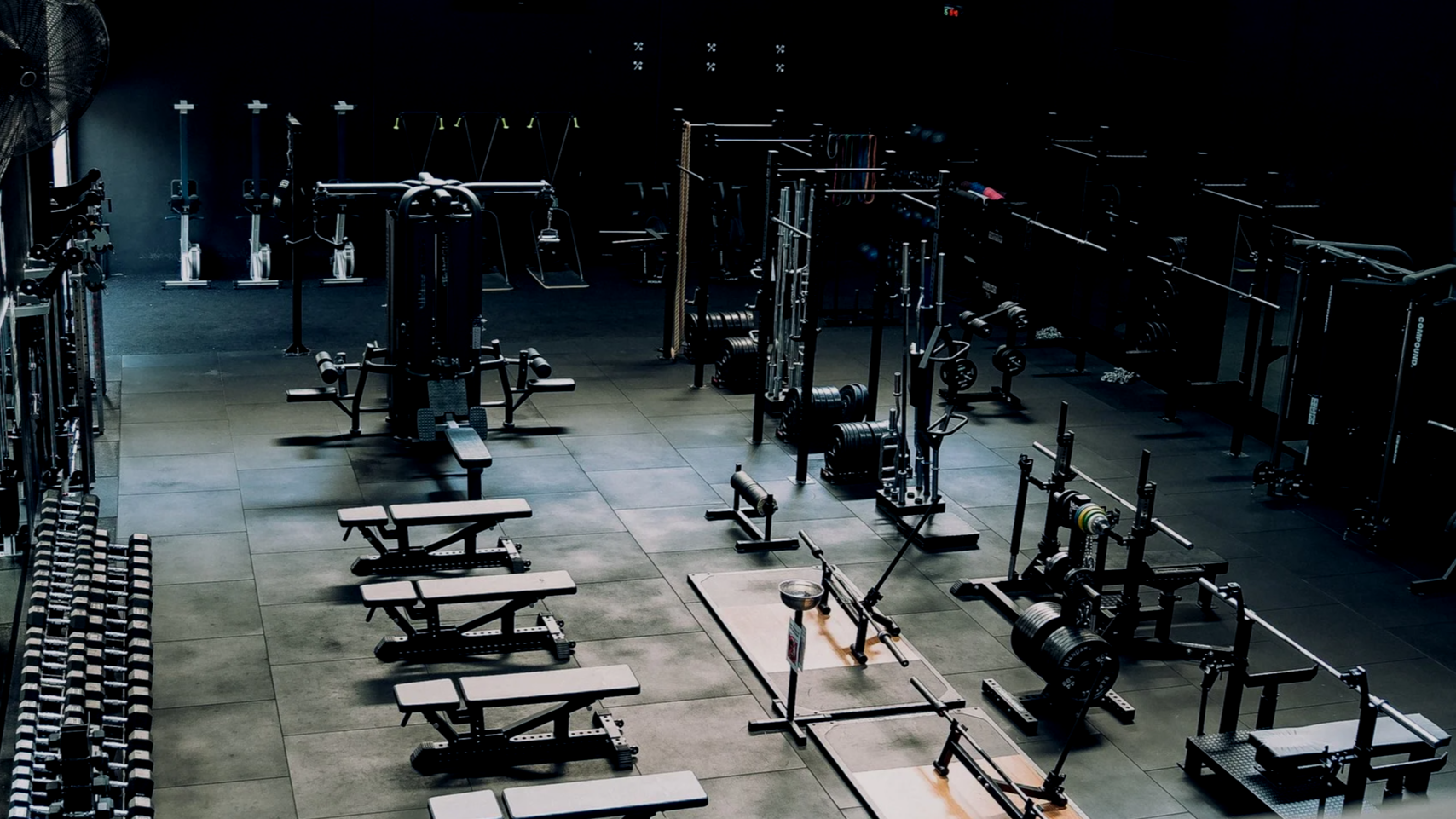 DSC01518 (1).png
