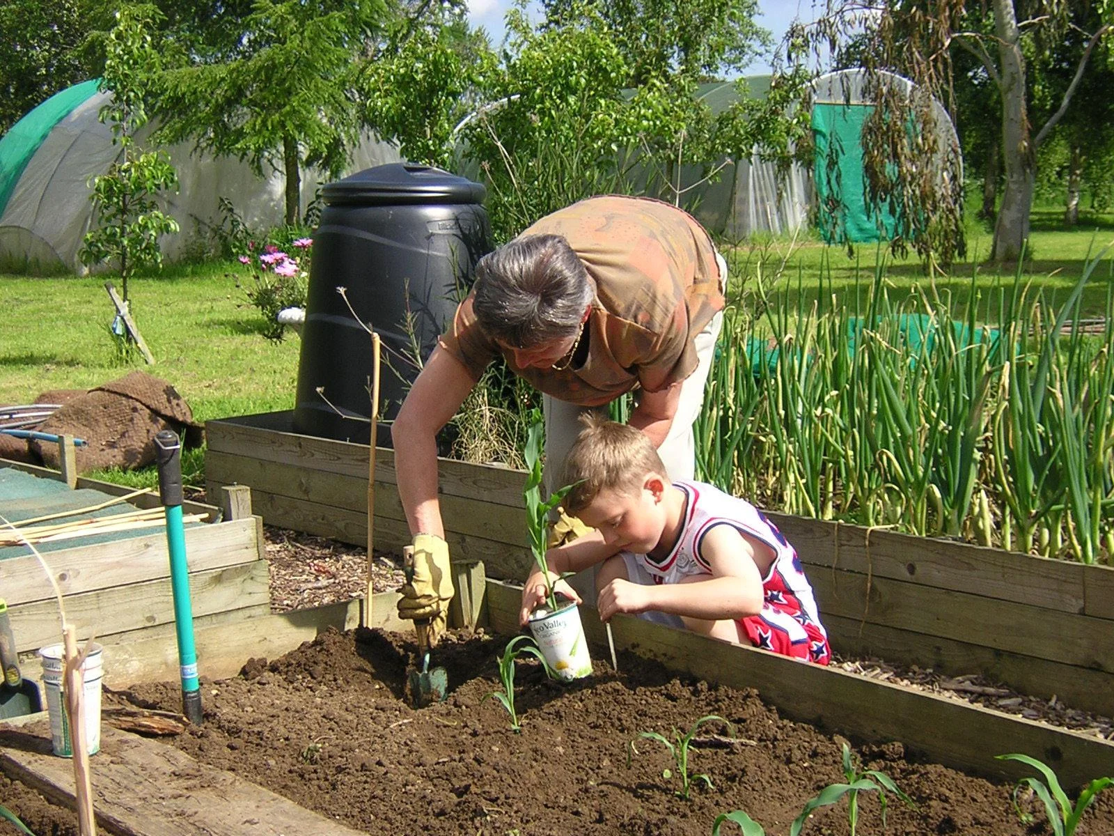 Food Growing Space Image.jpg