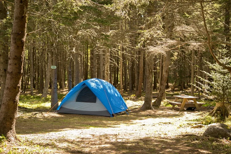 tentsile connect 2-person tree tent | | Camo | 2 Person | Couples' Tree Tent Size:5'W*3'H(1.5*1m) Fahrradmarkt Moabit - Siemensstrasse there are numerous compartments Zeitfahrrad