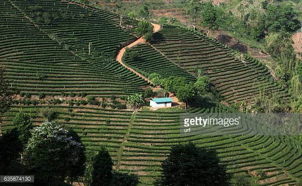 Photo by urf/iStock / Getty Images