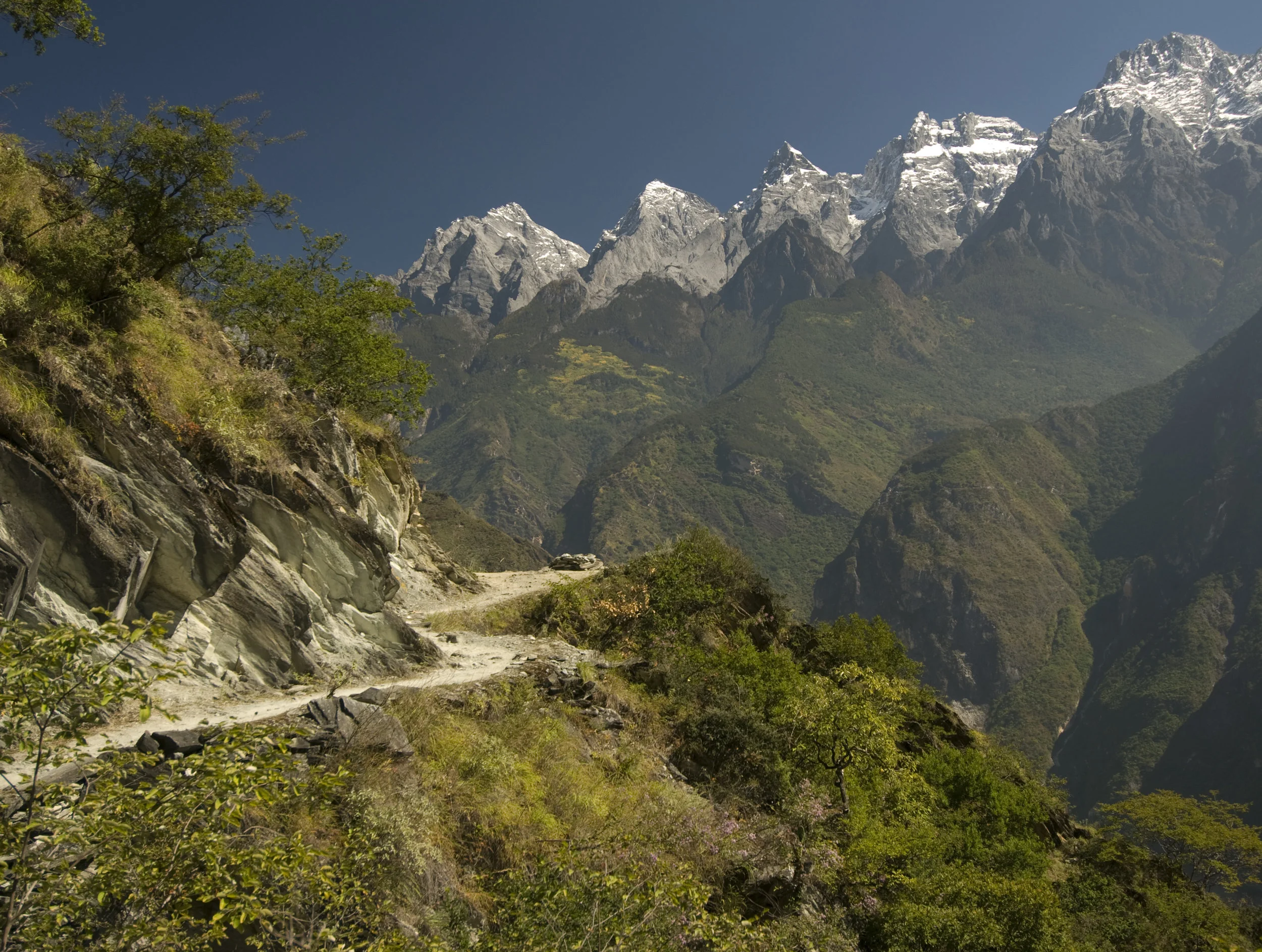 Photo by georgeclerk/iStock / Getty Images