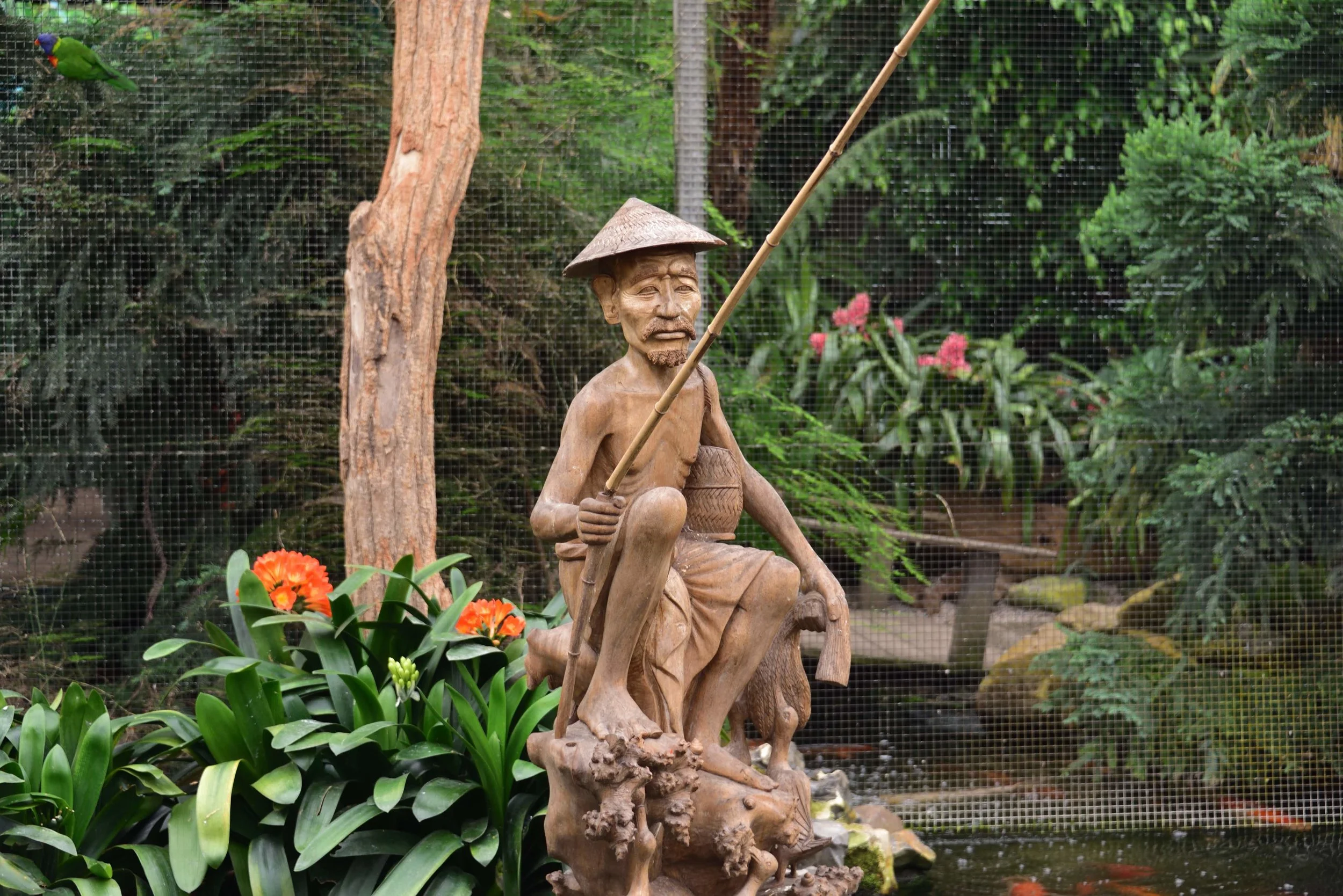 DSC_6662.jpg