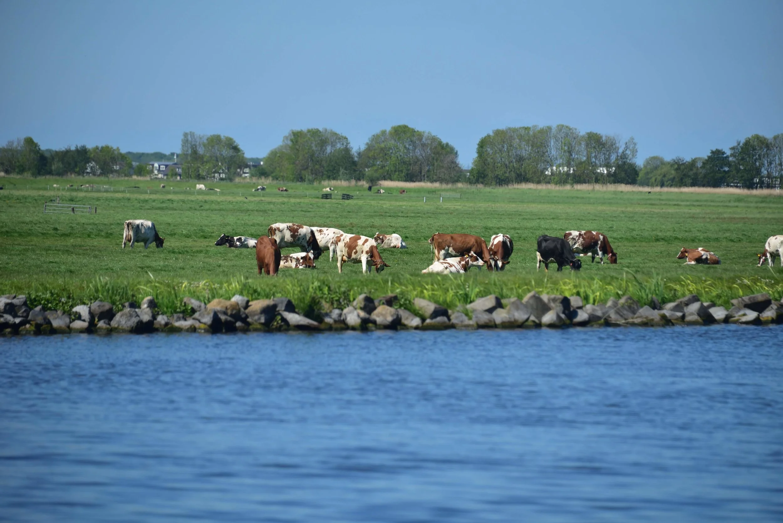 DSC_6514.jpg