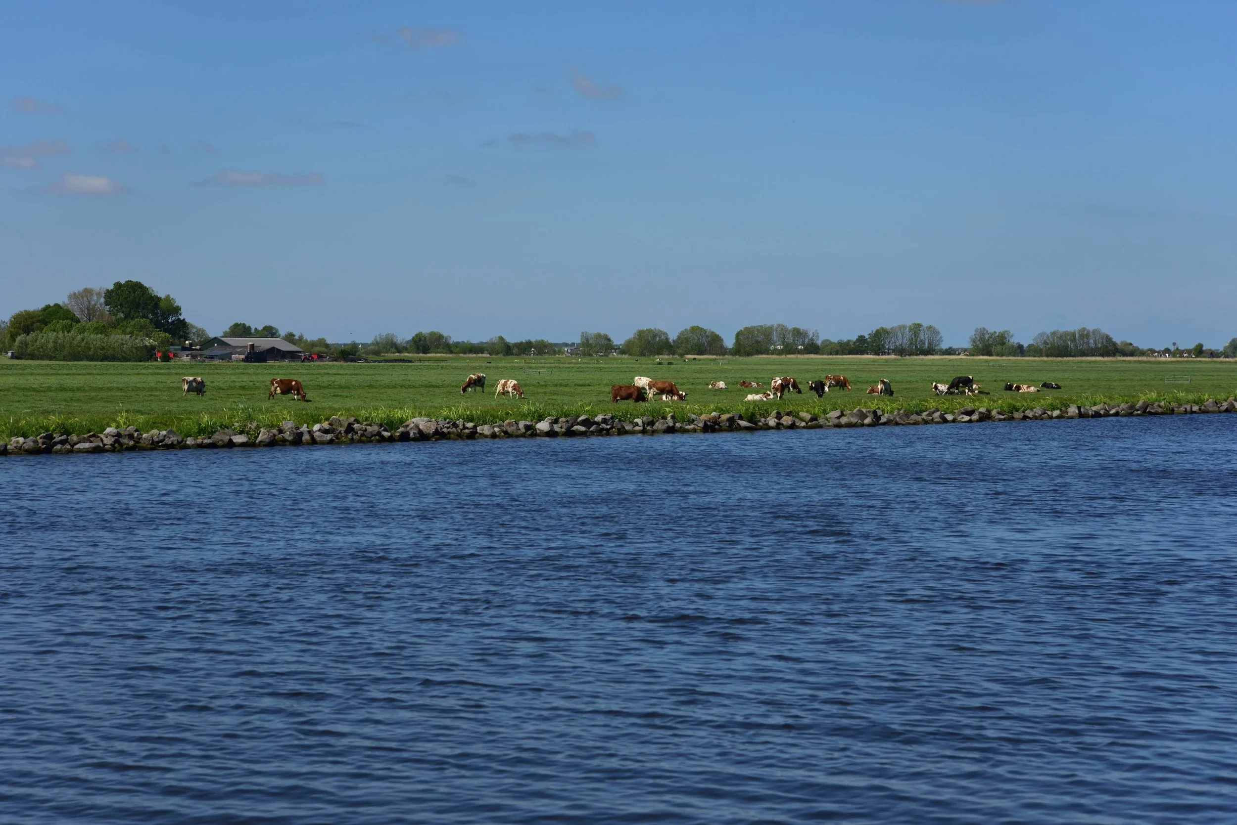 DSC_6506.jpg