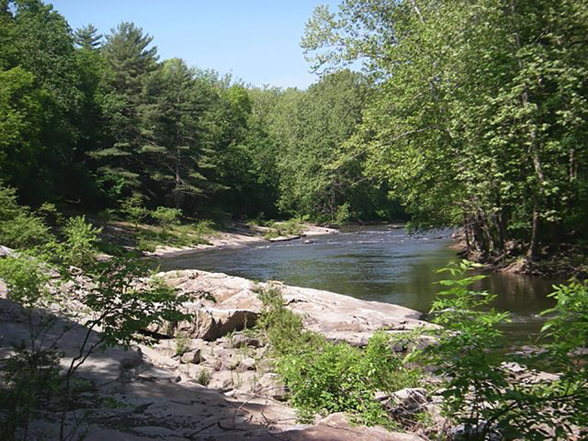 You have your own private stretch of the river for swimming and tubing.