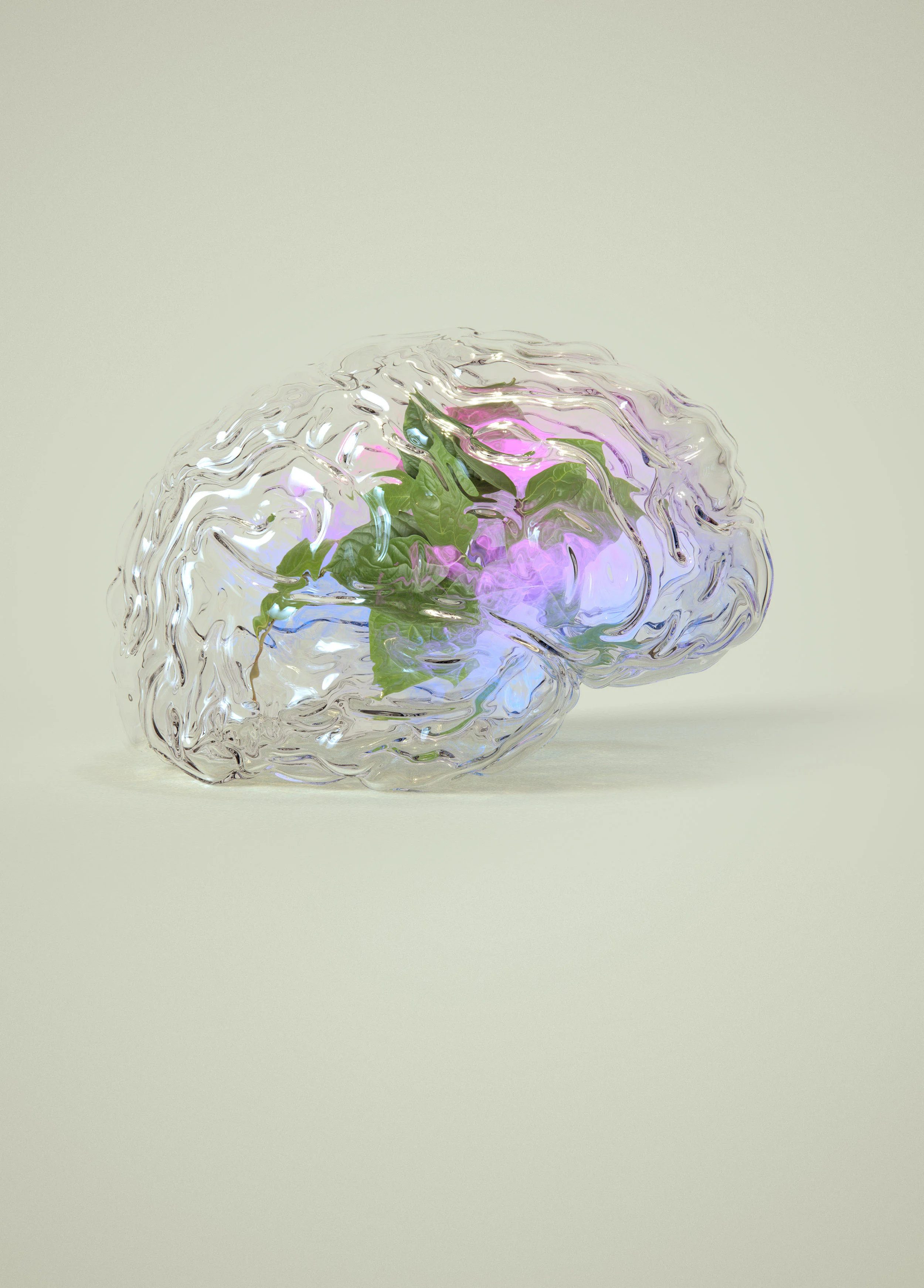 Brain_.jpg