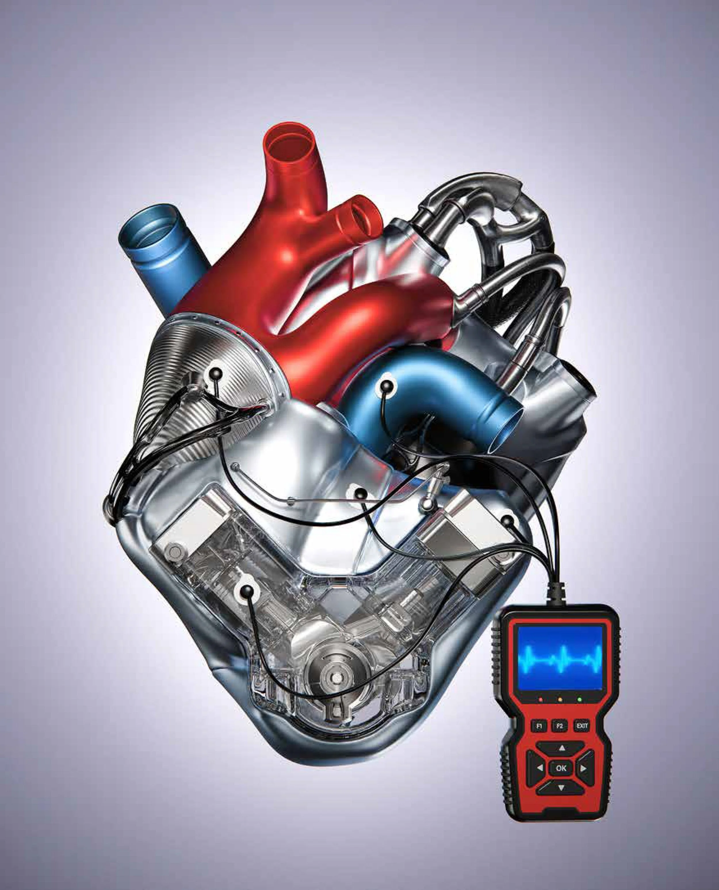 pcrowther p18-25 Healthy Heart ws.jpg