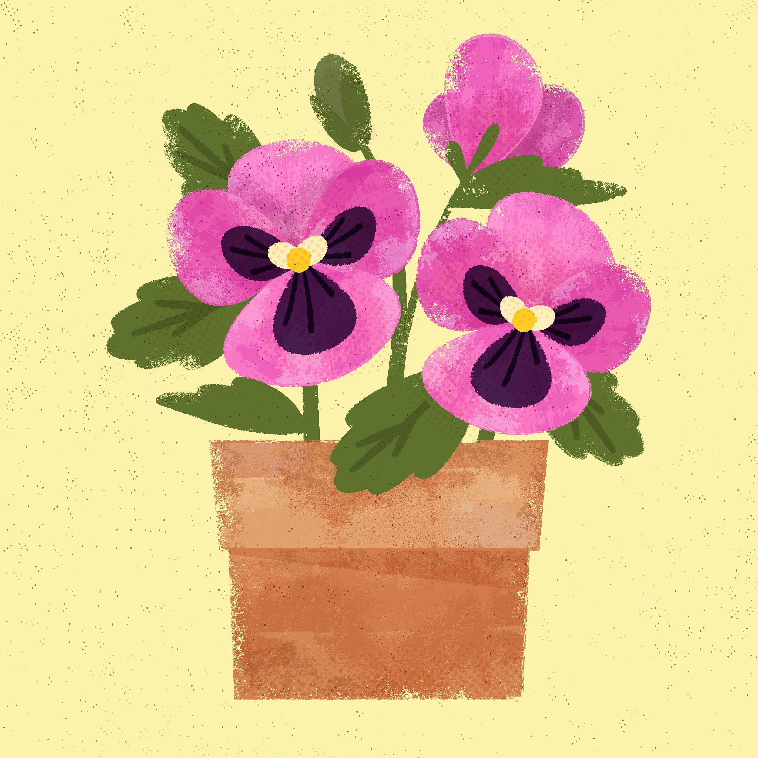 pansies for the first of may✨🌺

. 
.
.
.
.
#editorialillustration #midcenturyillustration
#pansies 
#illustration
#doodleadaymay
#vectorillustration
#designinspiration
#giftcardillustration
#spotillustration
#logochallenge
#groovy
#packagingdesign
#