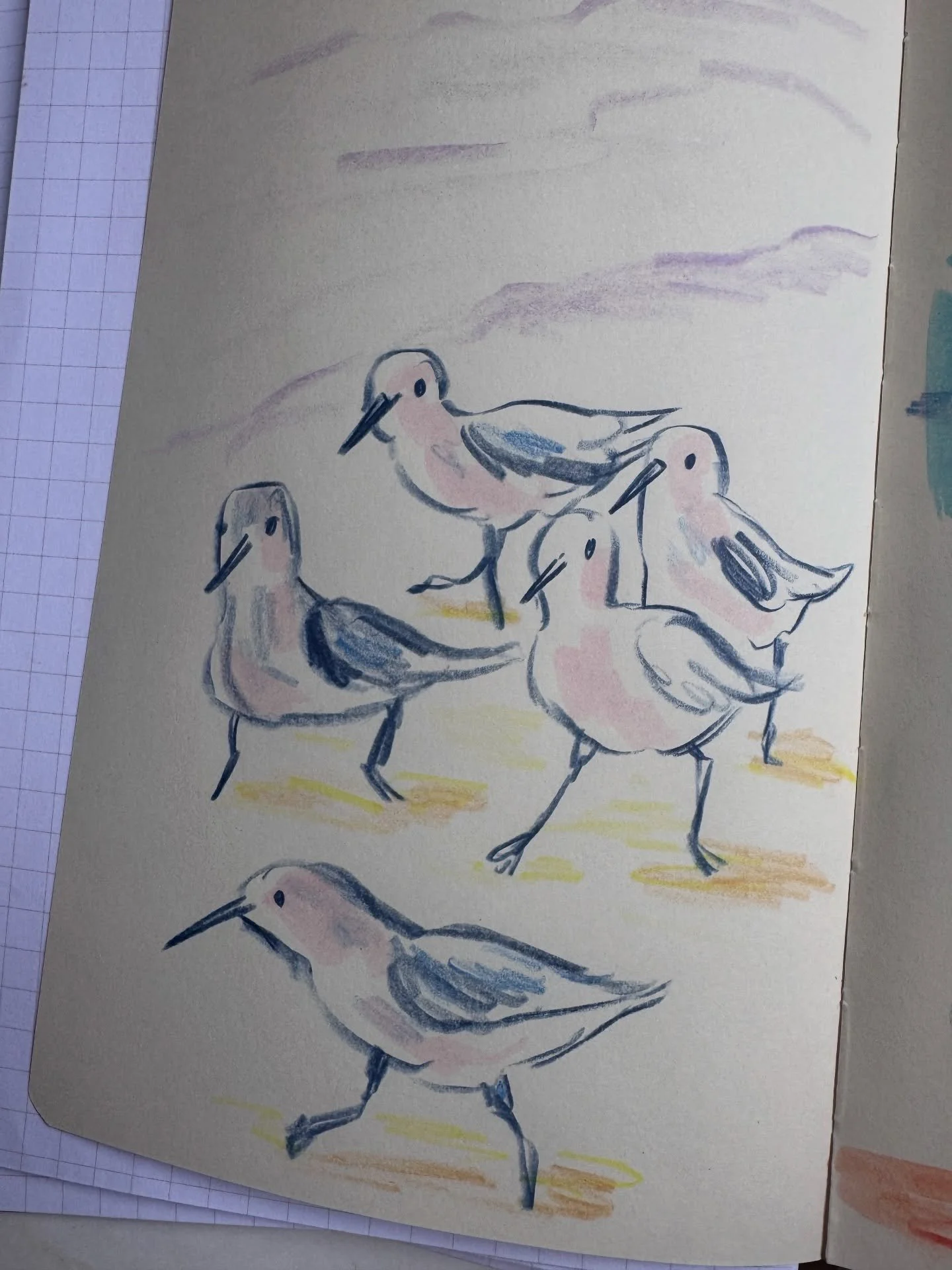 digital detoxing 🖍️

#dailysketchbook #mixedmediaartist #draweveryday #birdsofinstagram #artistlife