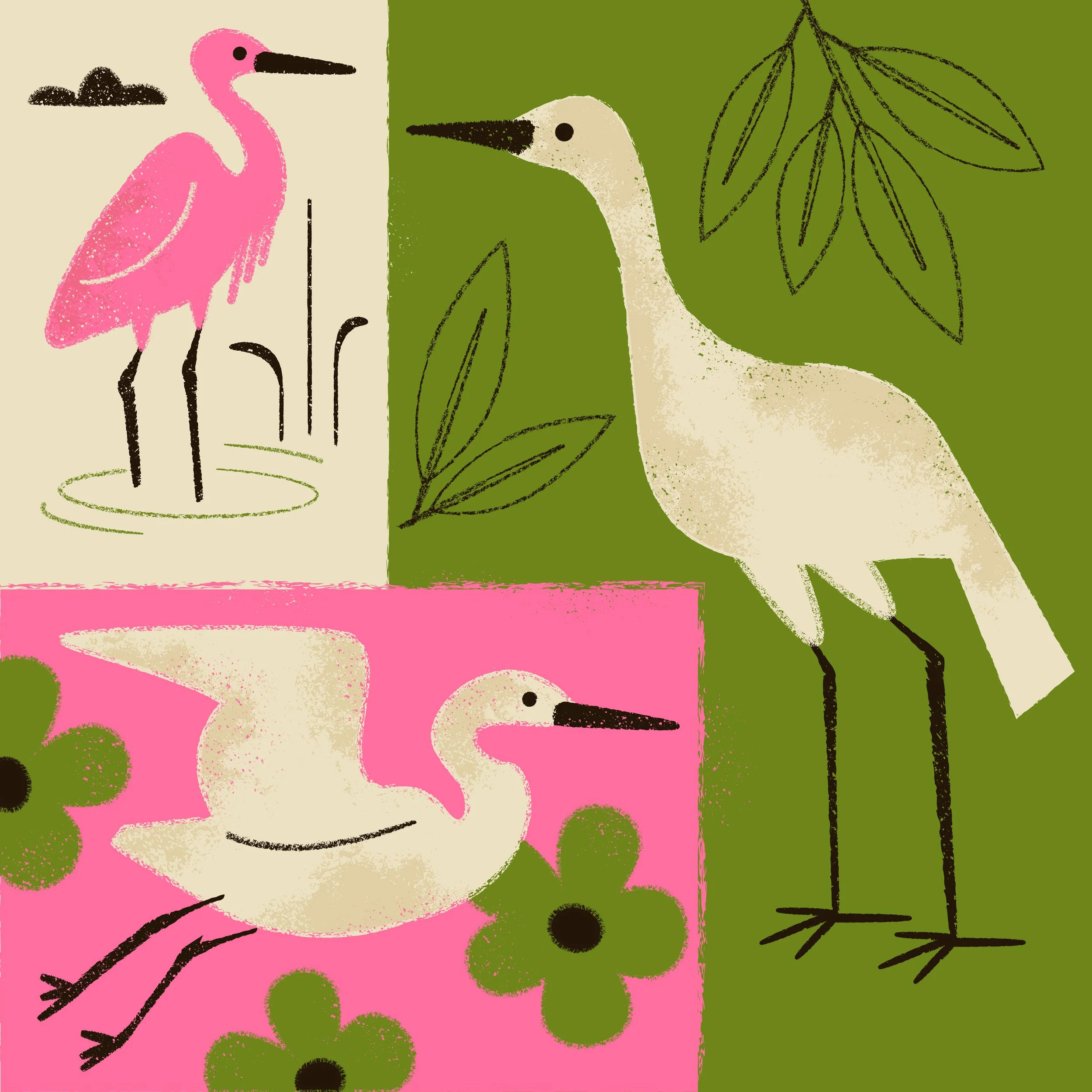 birds-marisa-schoen.jpg
