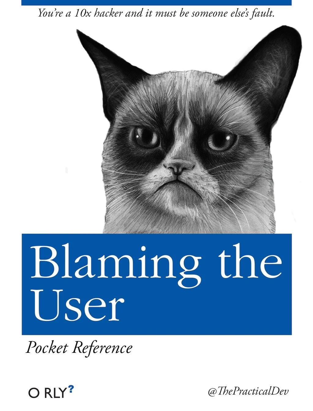 Stop Blaming the User