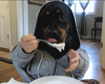 Eating your own dog food is worth the challenge.