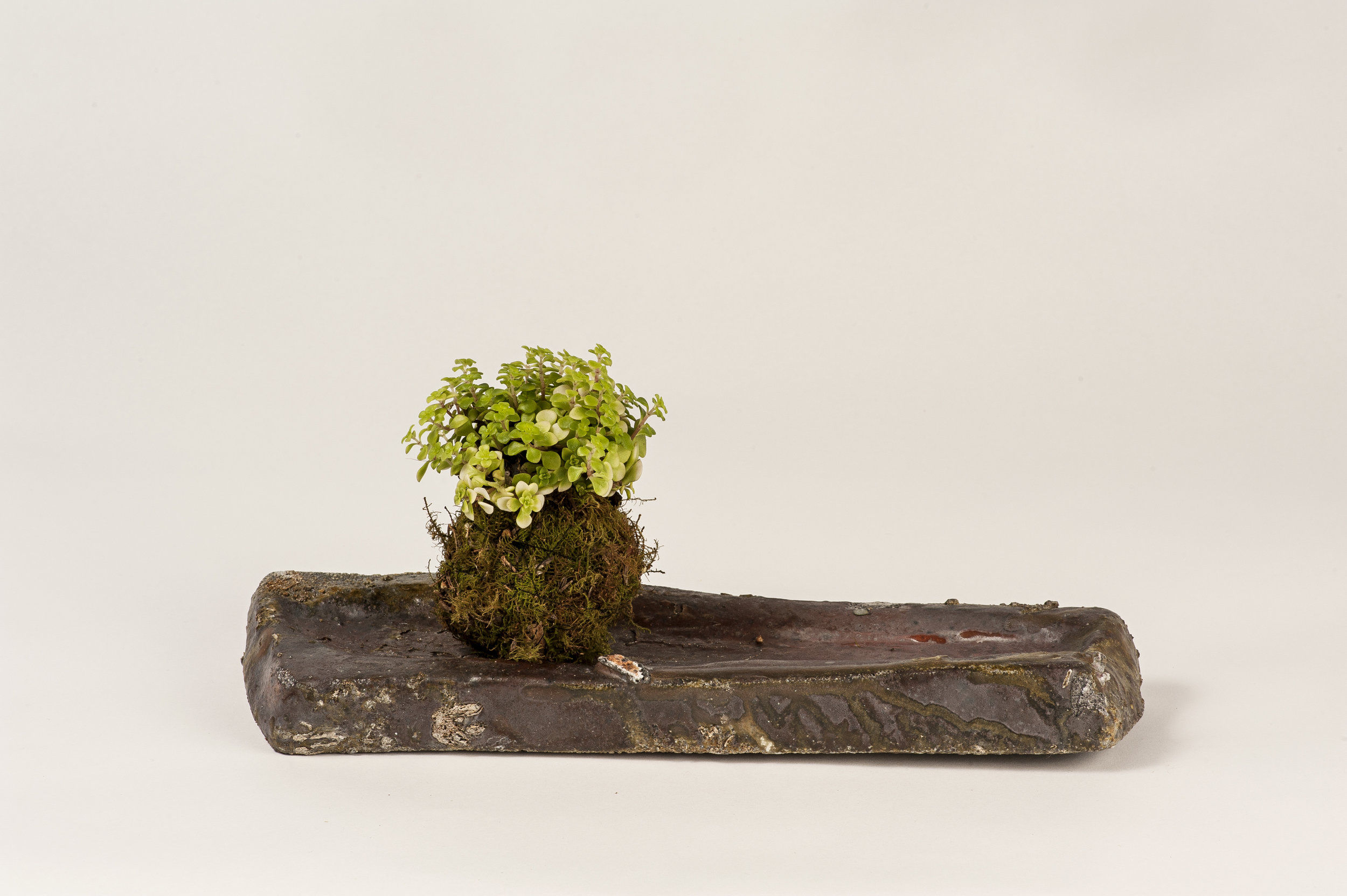 24Ceramic (19).jpg