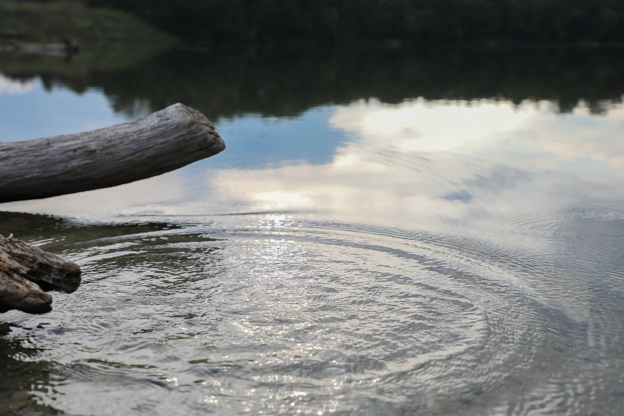 Nature Stock (9 of 16).jpg