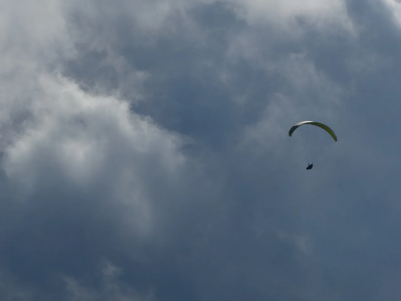 P1020943.jpg