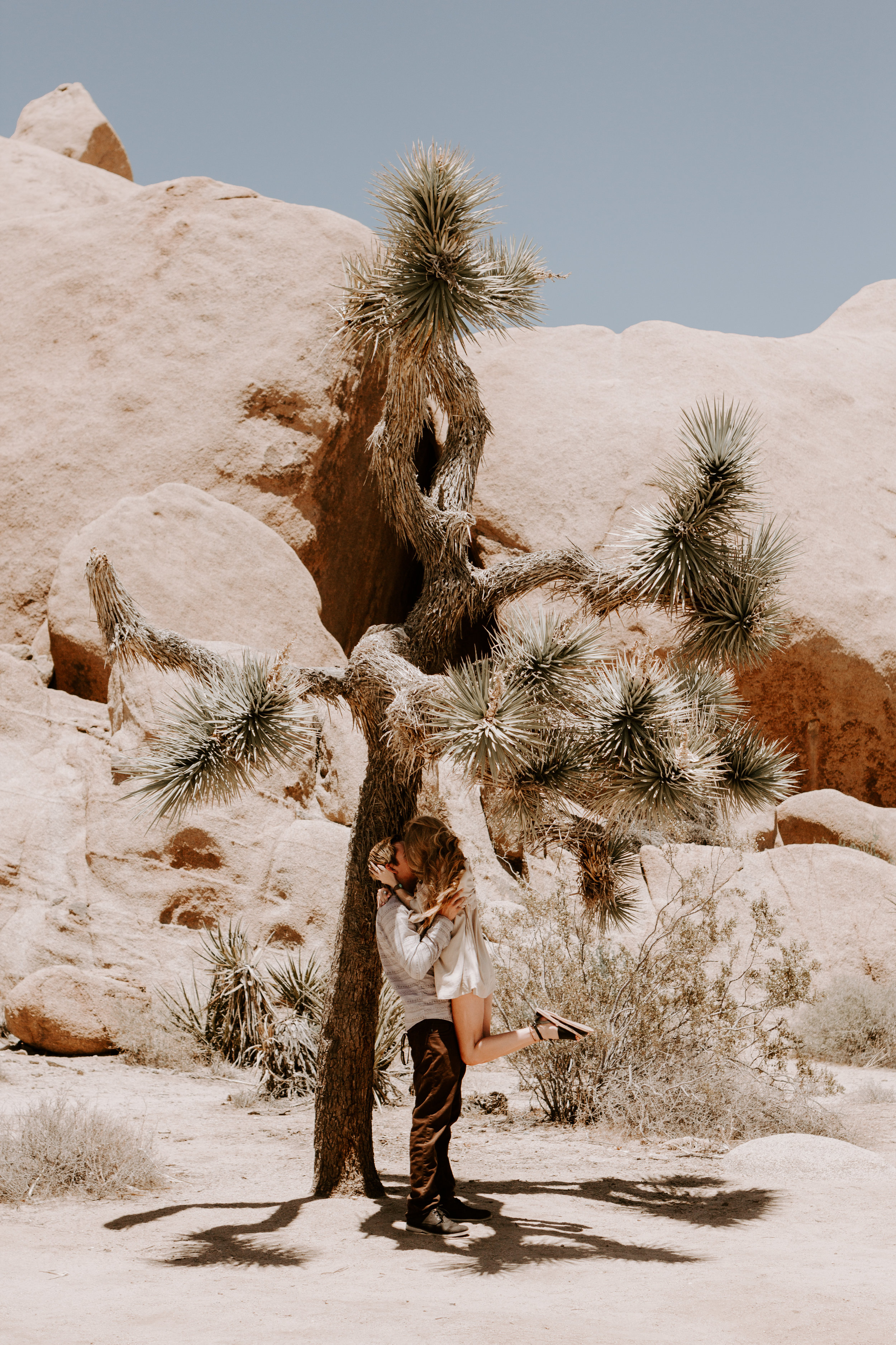 Joshua Tree Engagement