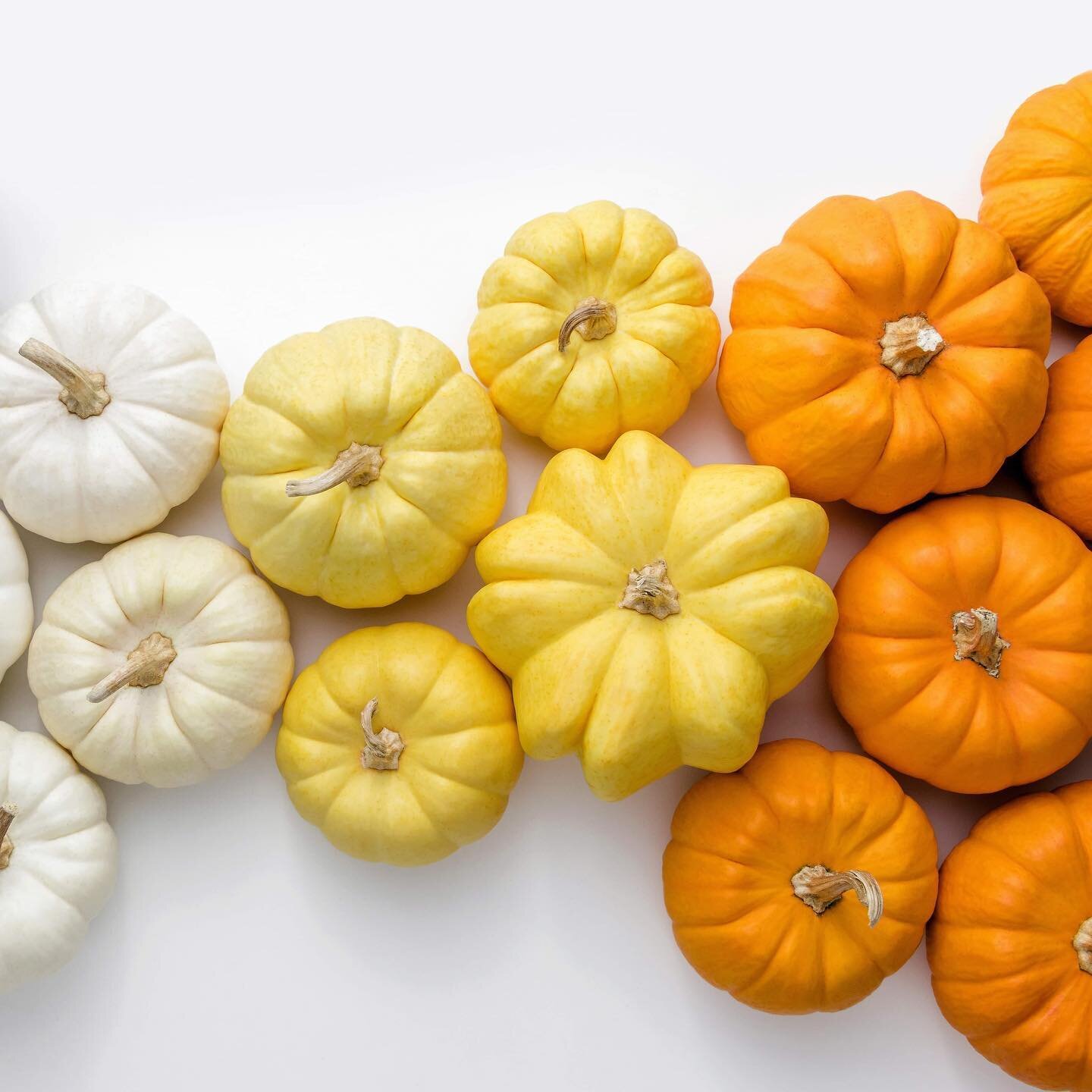 Are you a fan of all things pumpkin spice? Pie, lattes, cookies?

I sure am and absolutely love this season and the spectacular colours 🍁 🎃

#fallkidsfashion #halloweenkidscrafts #thanksgivingfamily #pumpkinspice #homeschool #homesweethomeschool