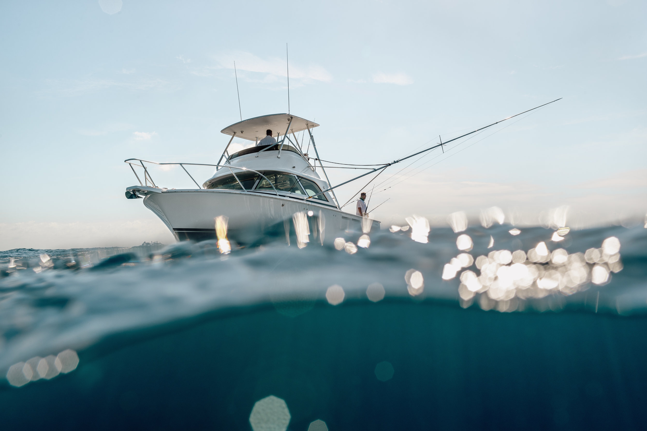 Bertram Yachts