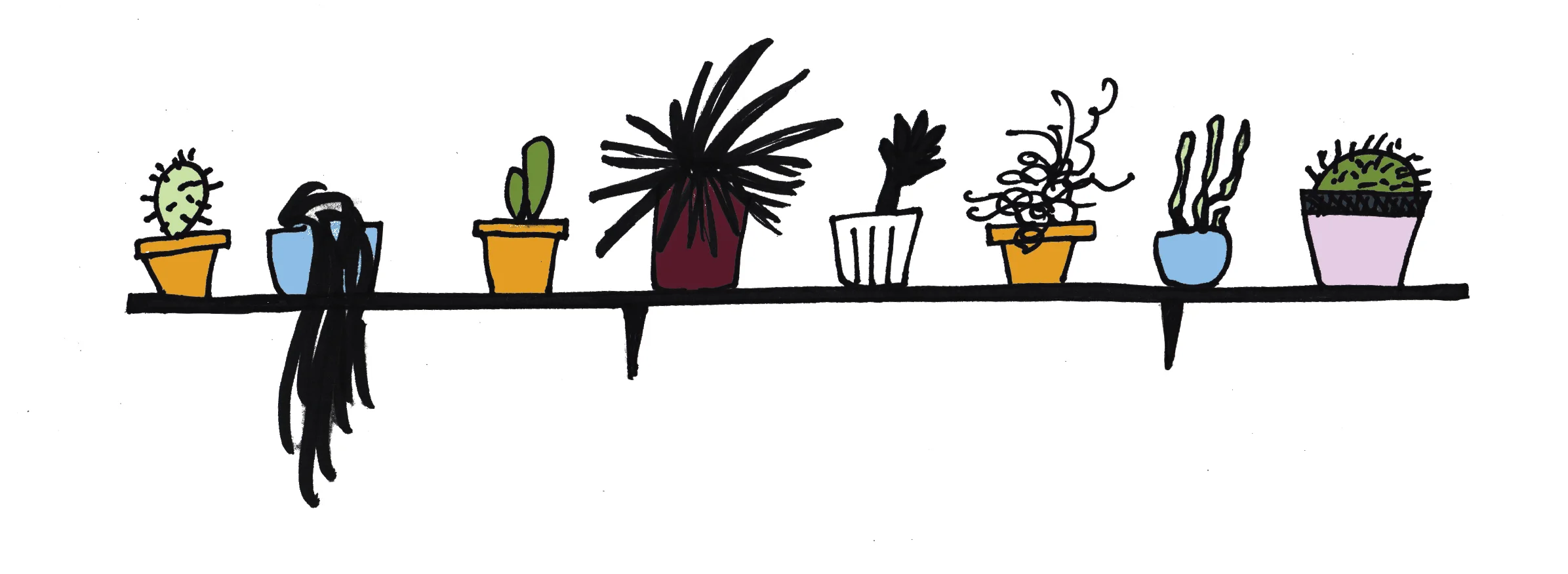 plant shelf.jpg