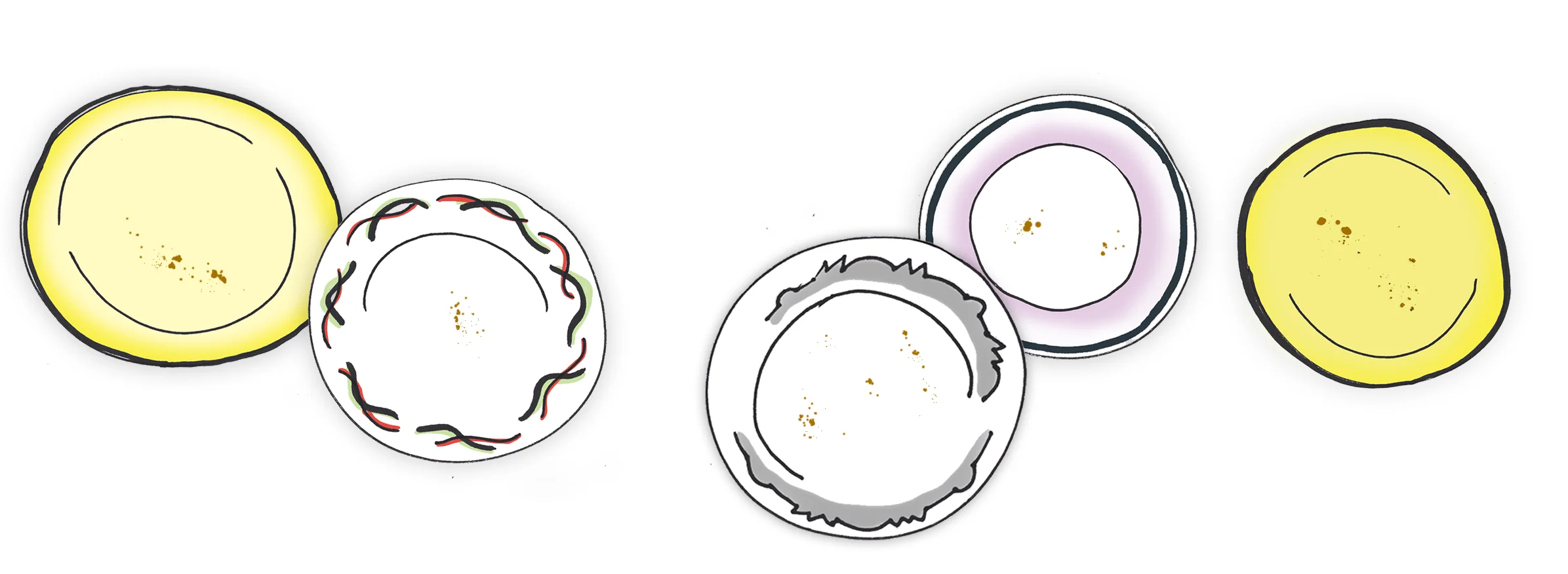 Plate line up.jpg