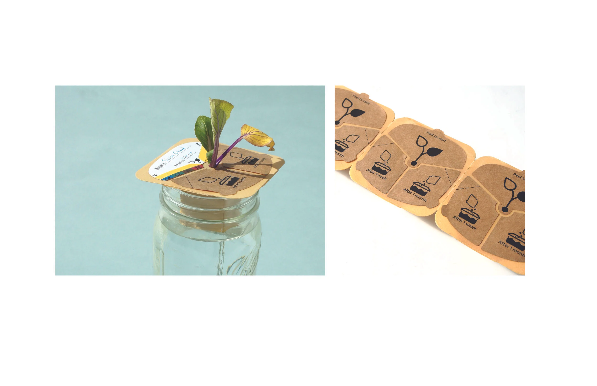 Growpod BOoklet-22.jpg
