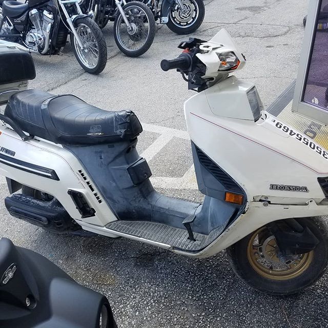 Ugly scoots for Friday morning!
White is an 86 Honda Elite and black is an 09 Yamaha Zuma.
#uglyscooter #ducati #848 #yamahazuma #hondaelite #smtx #radrides #diamondintherough