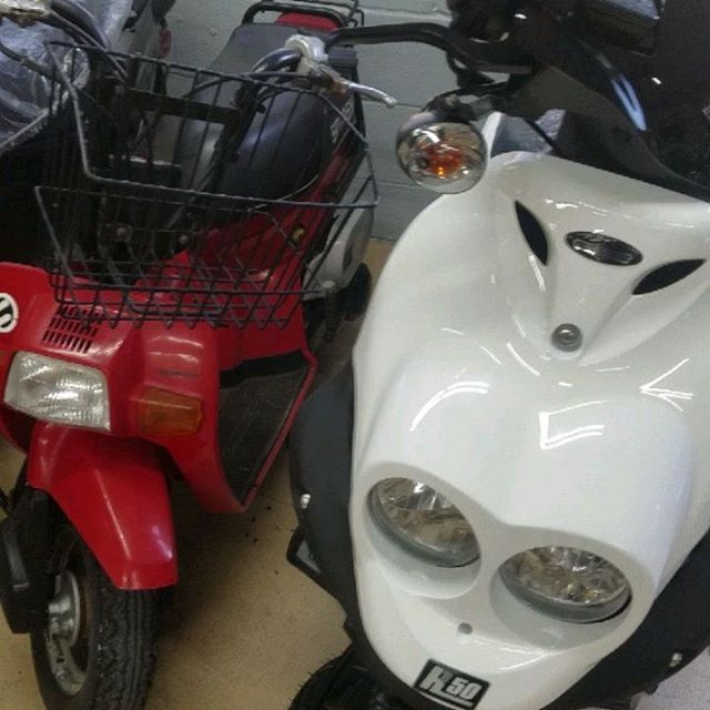 To warm up for the workday today I played a game of scoot scoot goose. C'mon y'all were 5 once. You know what I'm talking about. 
@genuinescooters

#honda #genuinebuddy #buddy125 #2stroke #kawasaki #bear #mopedmob #smtx #texas