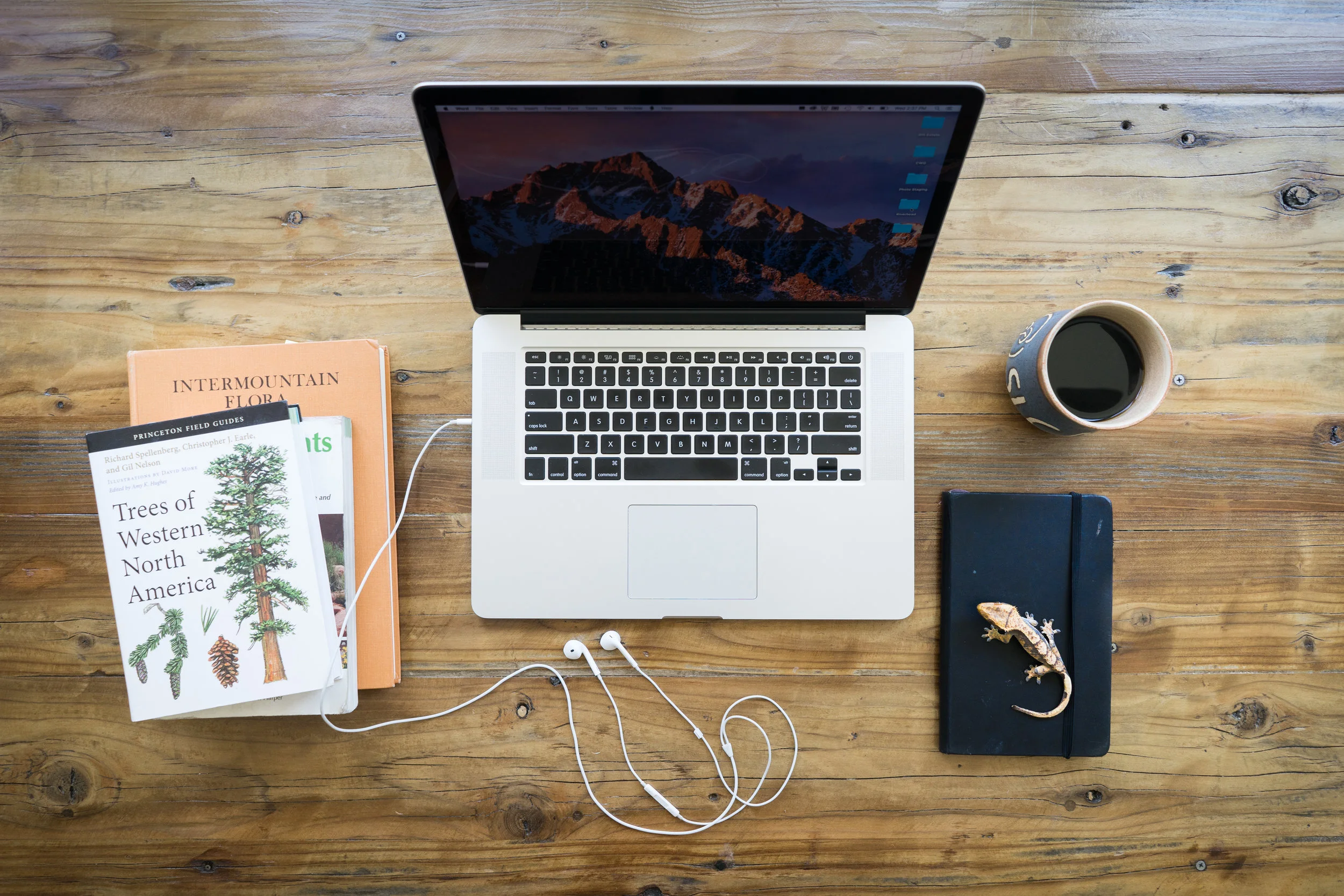 Gabriel_Tallent_Desk-101.jpg