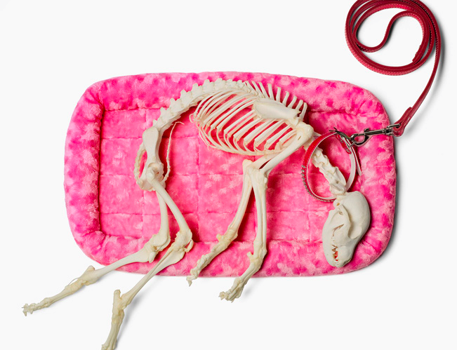 HIRST FAMILY XMAS (DETAIL: DEAD PUPPY)
