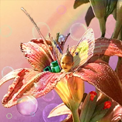 Daylily Fairy - Summer
