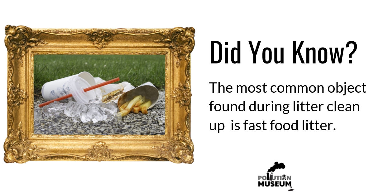 Pollution Museum Junk Food Litter frame  and text.jpg