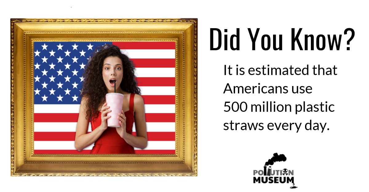 Pollution Museum frame text straw girl flag.jpg