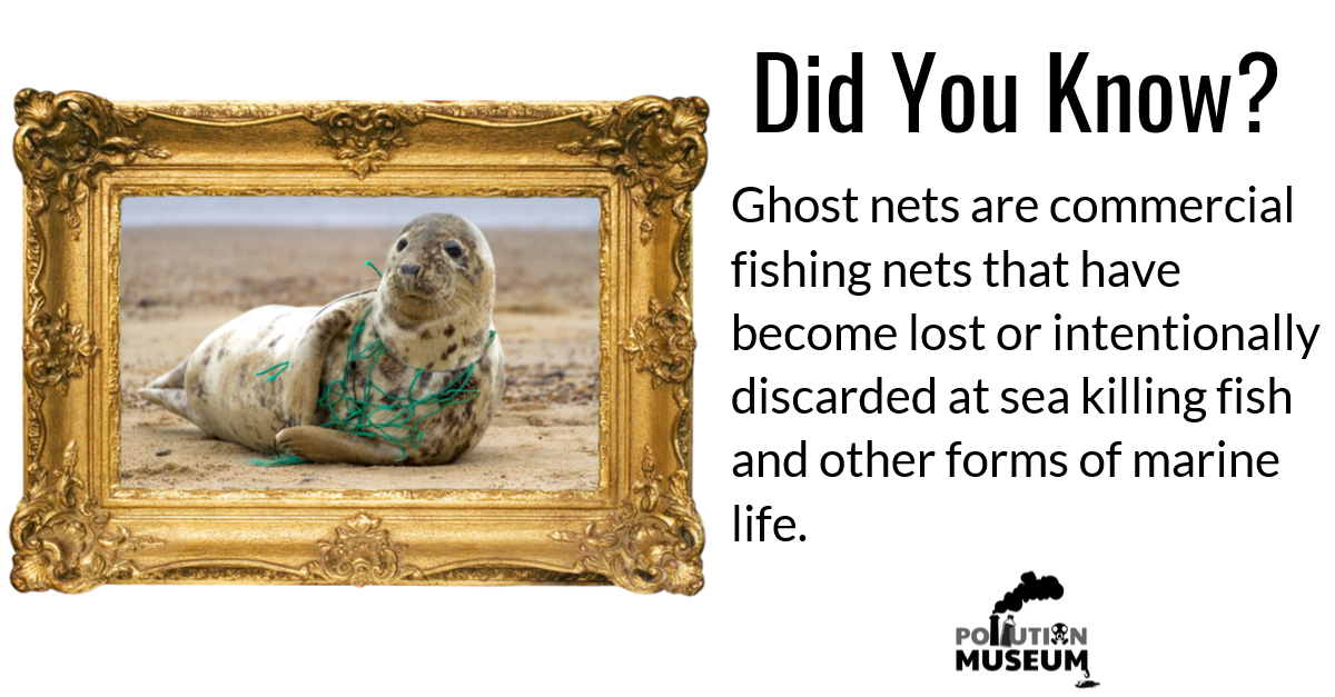 Pollution Museum frame text ghost net.png