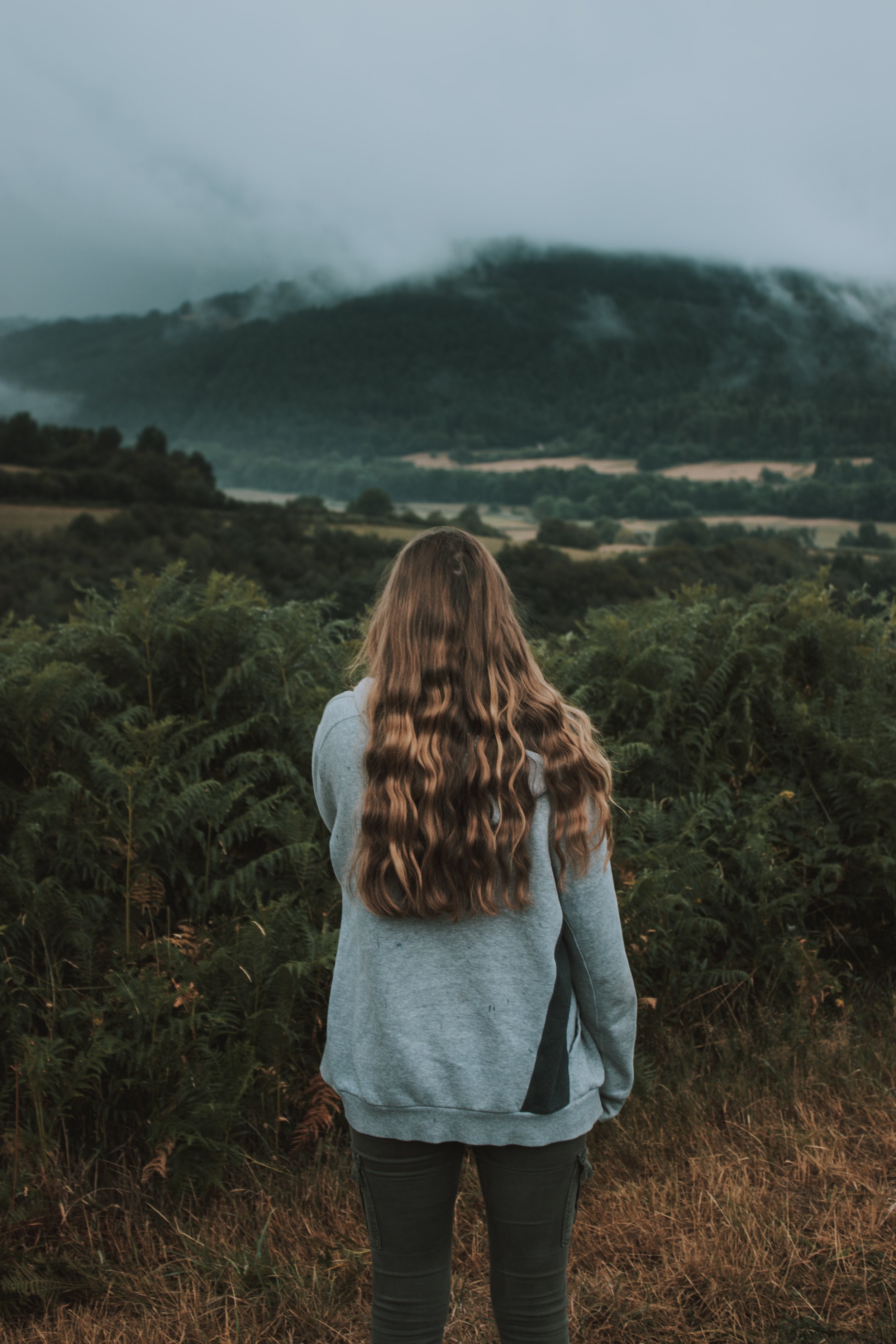 mat-reding-XJeo5cJpybU-unsplash.jpg