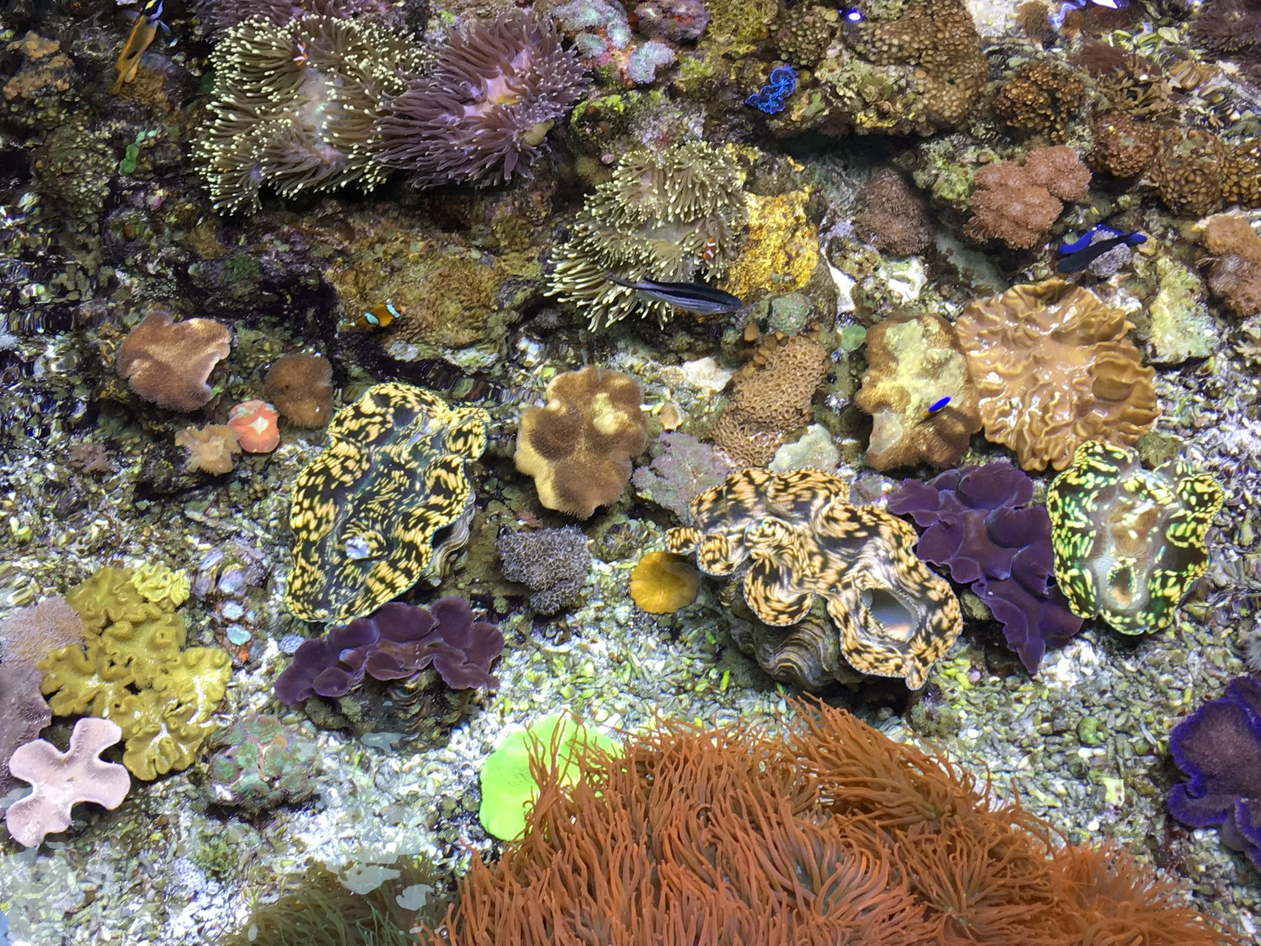 Teen Science Night - Cal Academy