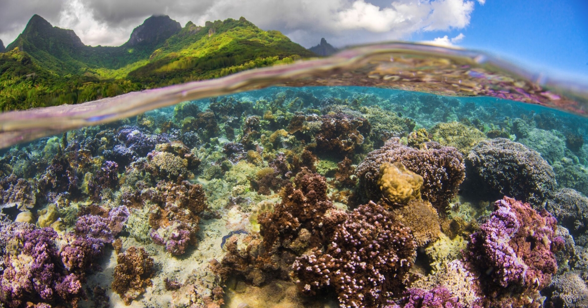 Mo'orea, Society Archipelago, French Polynesia. Photo © Lauric Thiault