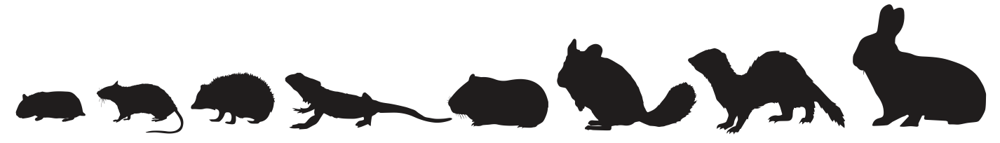 Screen Shot 2022-03-02 at 2.17.51 PM.png