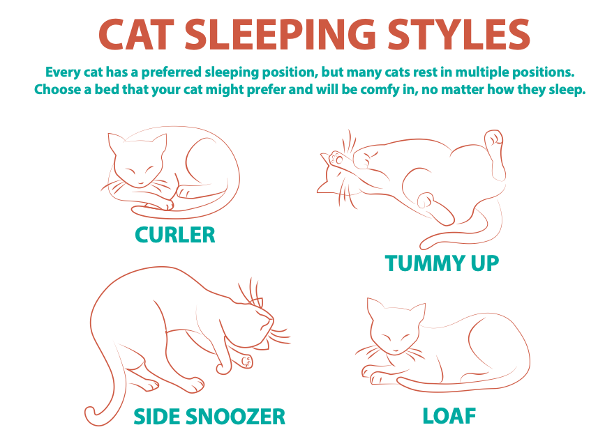 Screen Shot 2022-03-02 at 2.18.46 PM.png