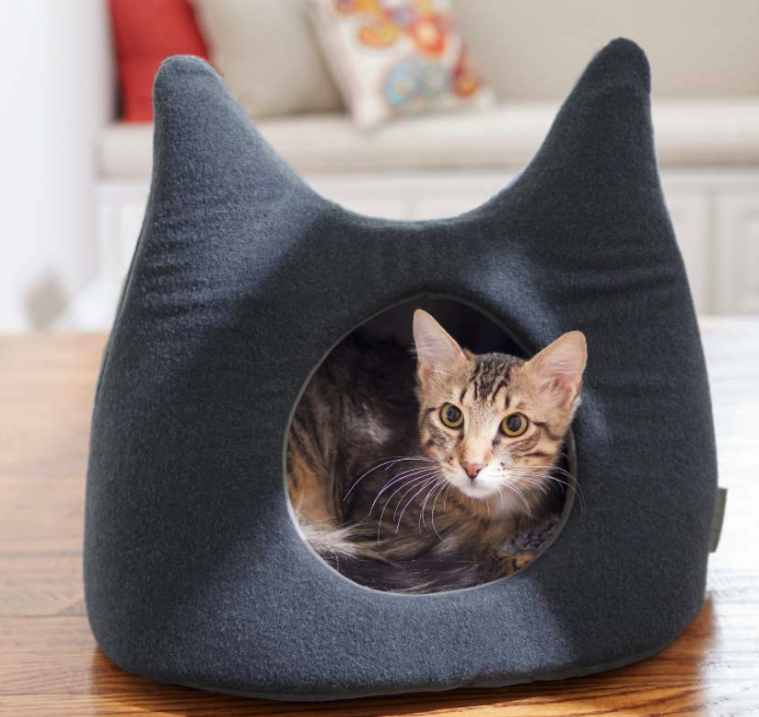 Screen Shot 2022-03-02 at 2.21.24 PM.png