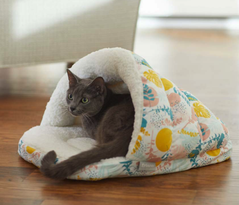 Screen Shot 2022-03-02 at 2.22.30 PM.png