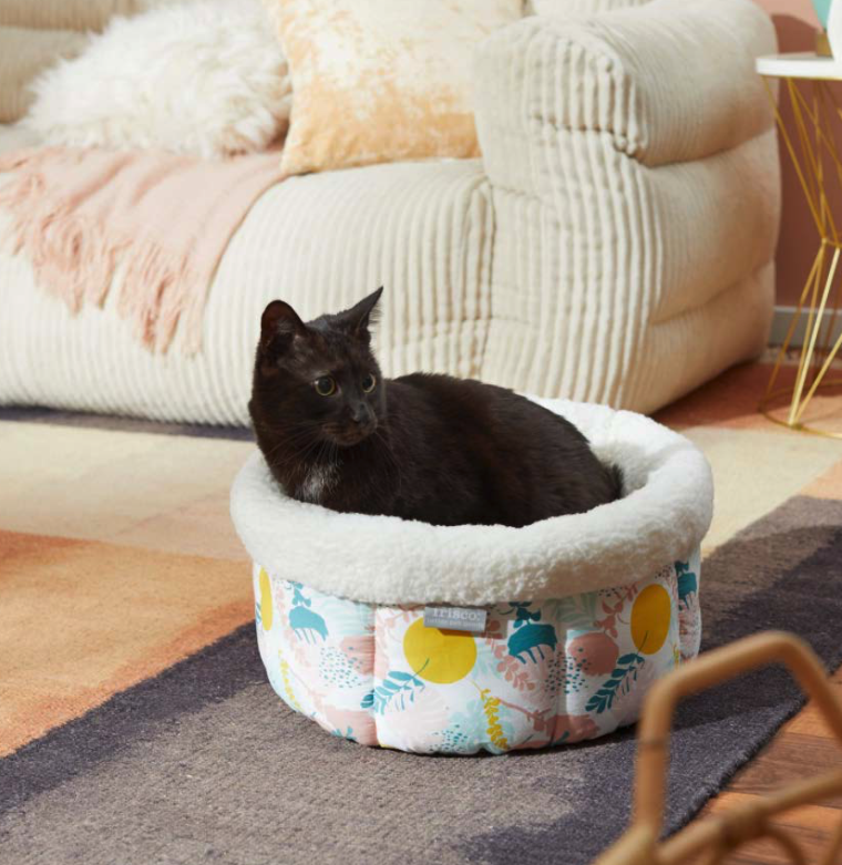 Screen Shot 2022-03-02 at 2.22.39 PM.png