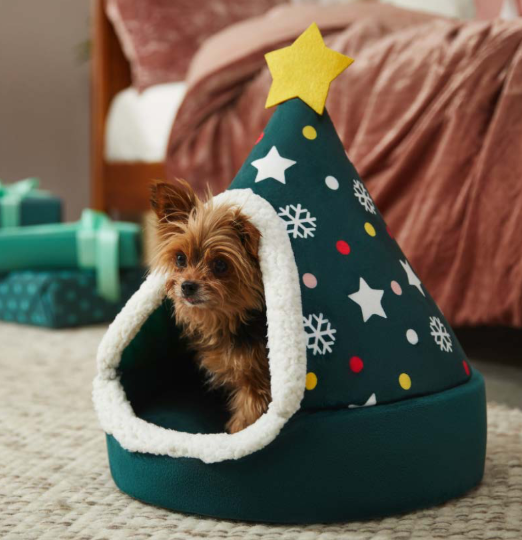 Screen Shot 2022-03-02 at 2.24.17 PM.png