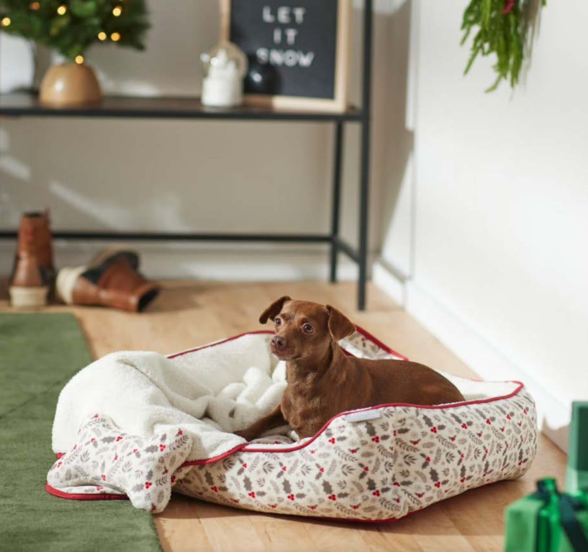 Screen Shot 2022-03-02 at 2.24.28 PM.png