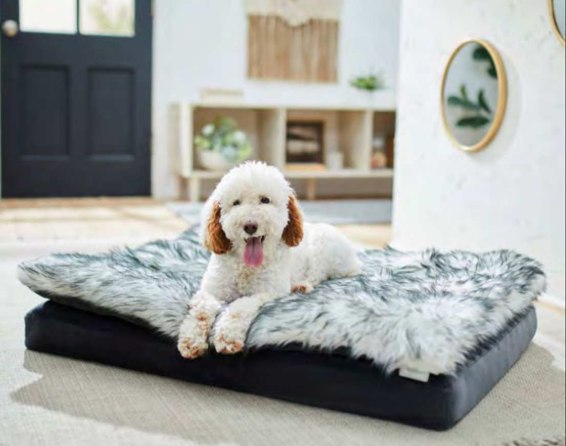 Screen Shot 2022-03-02 at 2.24.49 PM.png