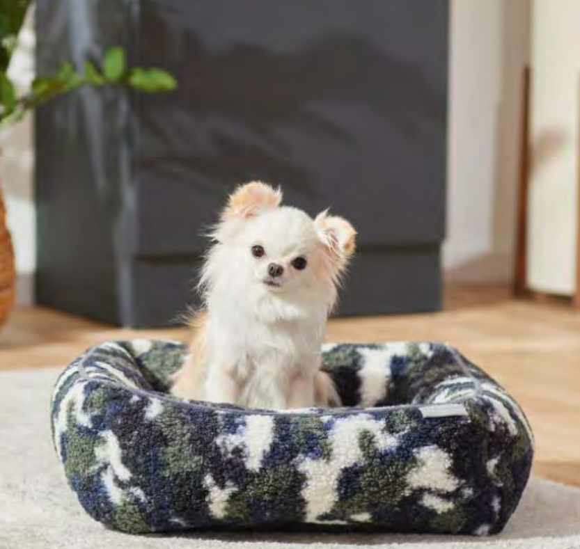 Screen Shot 2022-03-02 at 2.25.01 PM.png